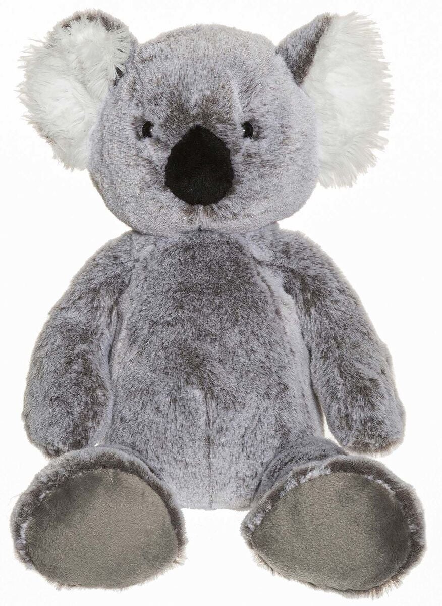Teddy Wild Koala
